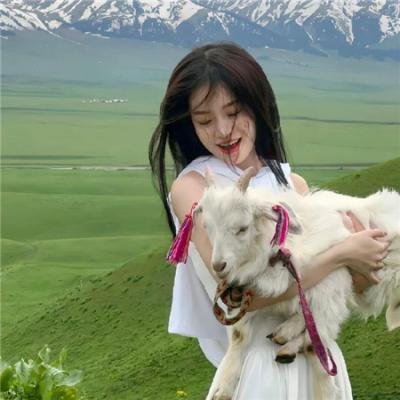 小红帽2：团结力量大